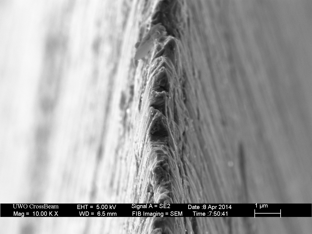 edge-on view images after Chosera 1k