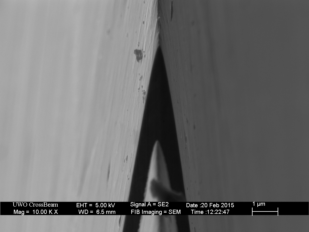 stropped_microconvex_01