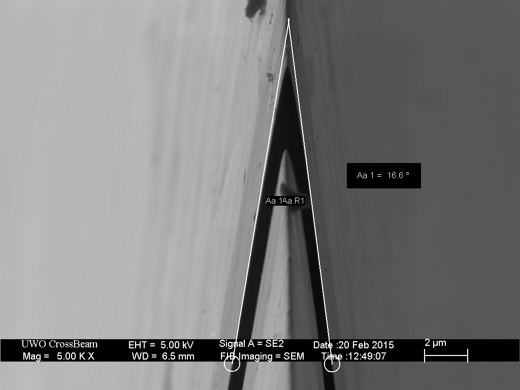 stropped_microconvex_08