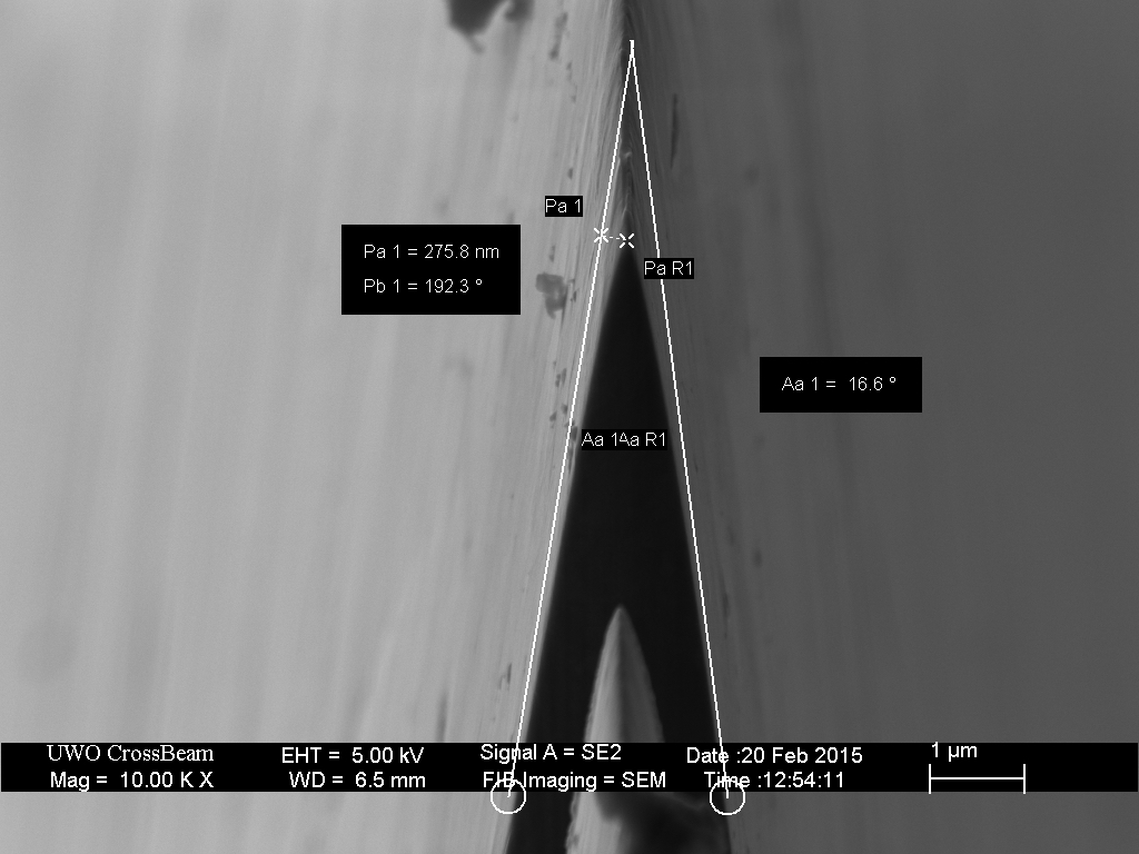 stropped_microconvex_10