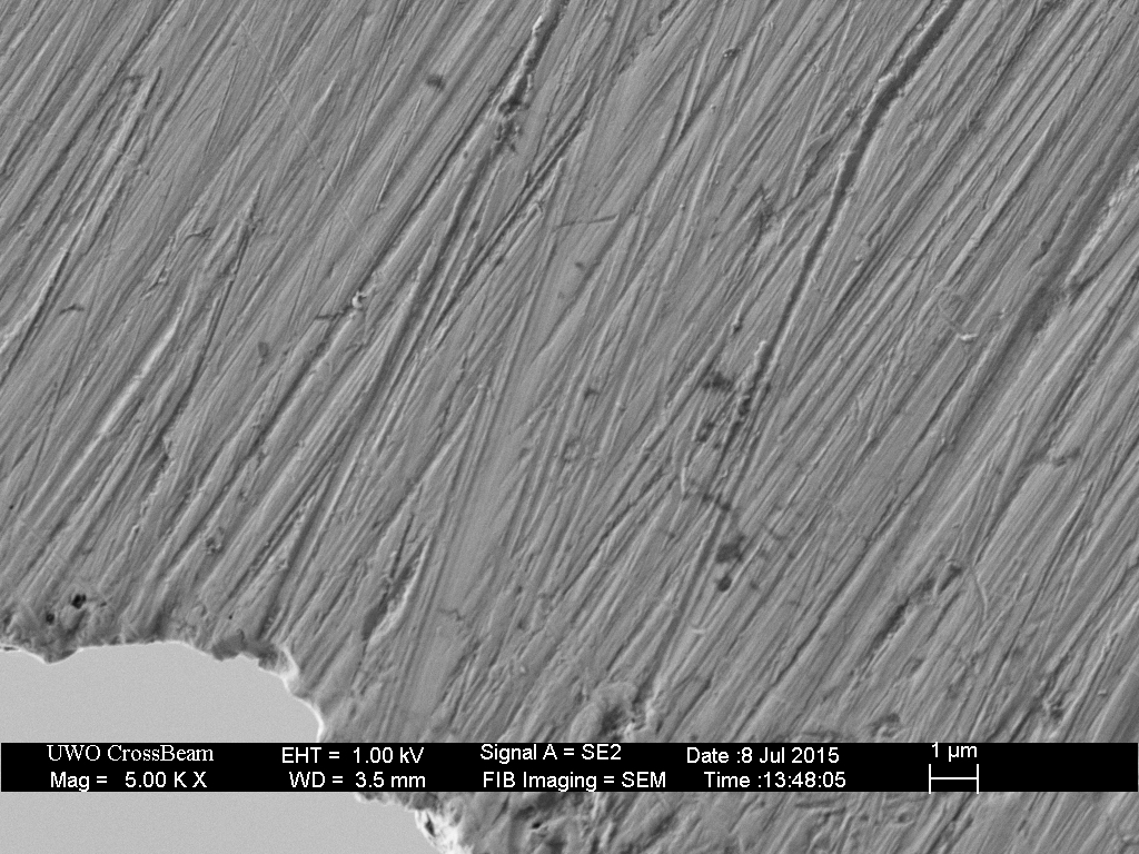 320 grit plus 100 edge-leading laps on the 16k hone.