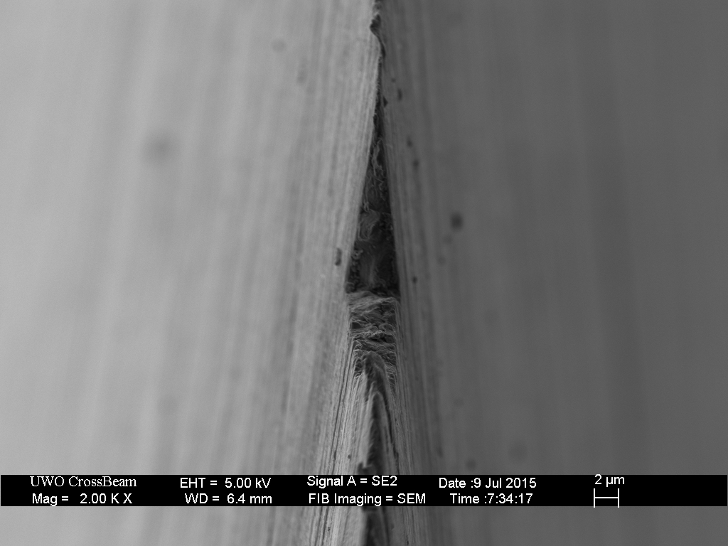 320 grit plus 100 edge-leading laps on the 16k hone.