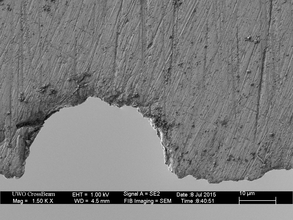 320 grit plus 10 edge-leading laps on the 16k hone.