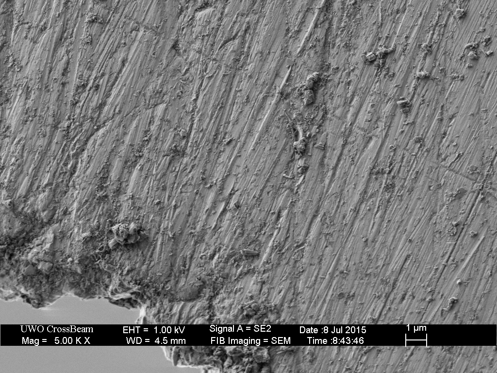 320 grit plus 10 edge-leading laps on the 16k hone.