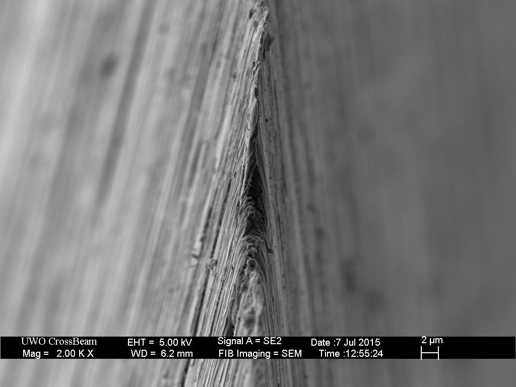 Edge-view image of the blade following honing on the Shapton Pro 320.