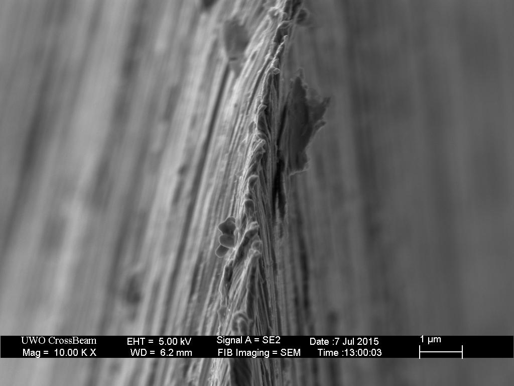 Edge-view image of the blade following honing on the Shapton Pro 320.