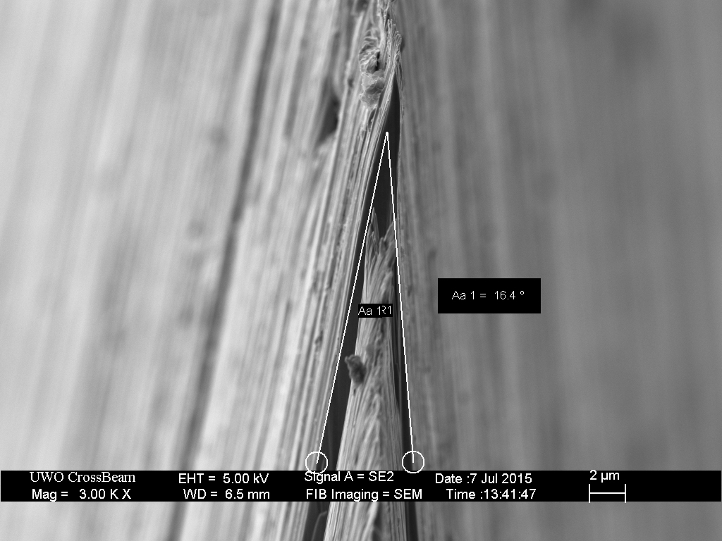 Cross-section of the blade following honing on the Shapton Pro 320.