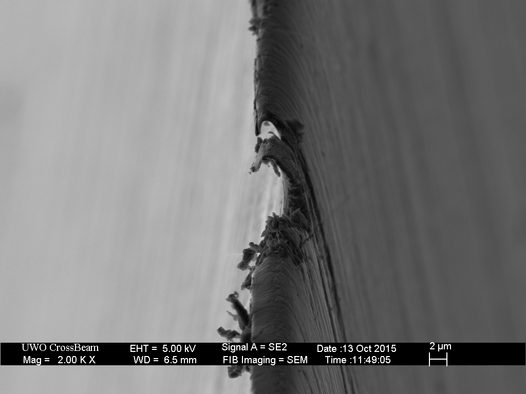 GNV_K6k_ET_smlburr_redwood_09