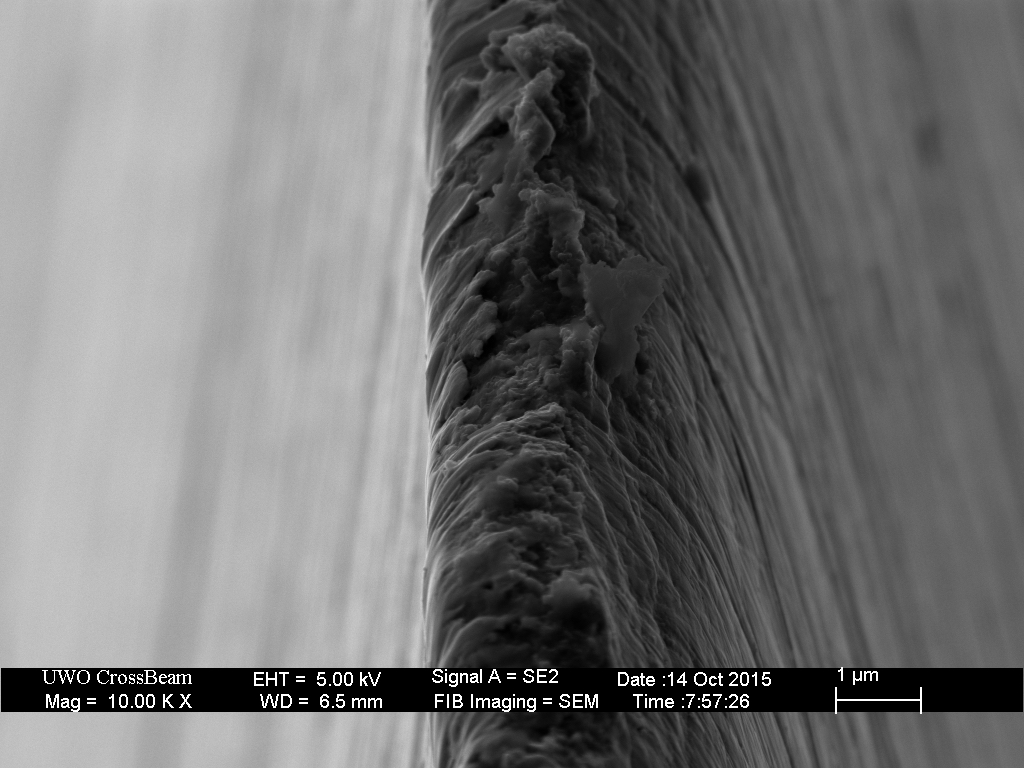 GNV_K6kET_redwood_newspaper_03