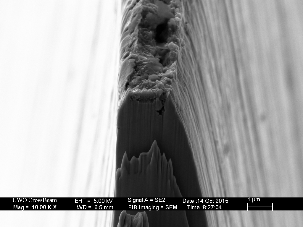 GNV_K6kET_redwood_newspaper_04