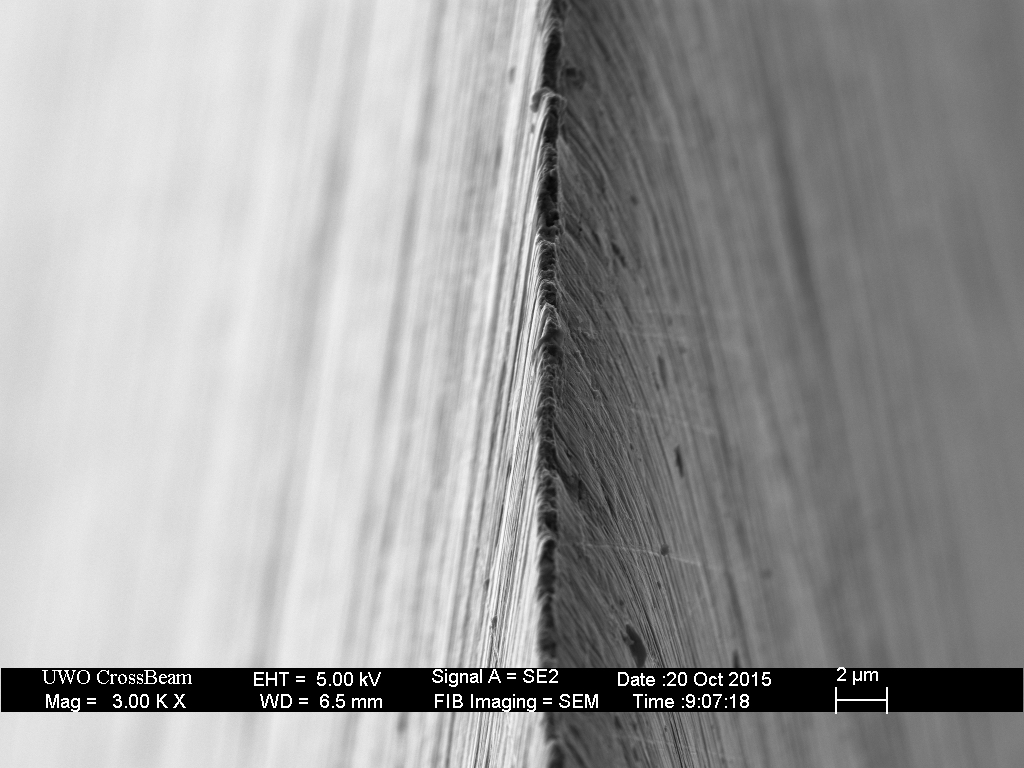 LC_redwood_6kET_newspr_01