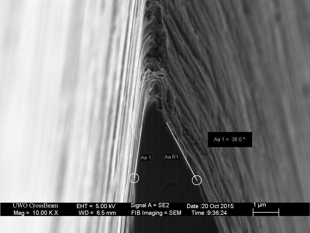 LC_redwood_6kET_newspr_04