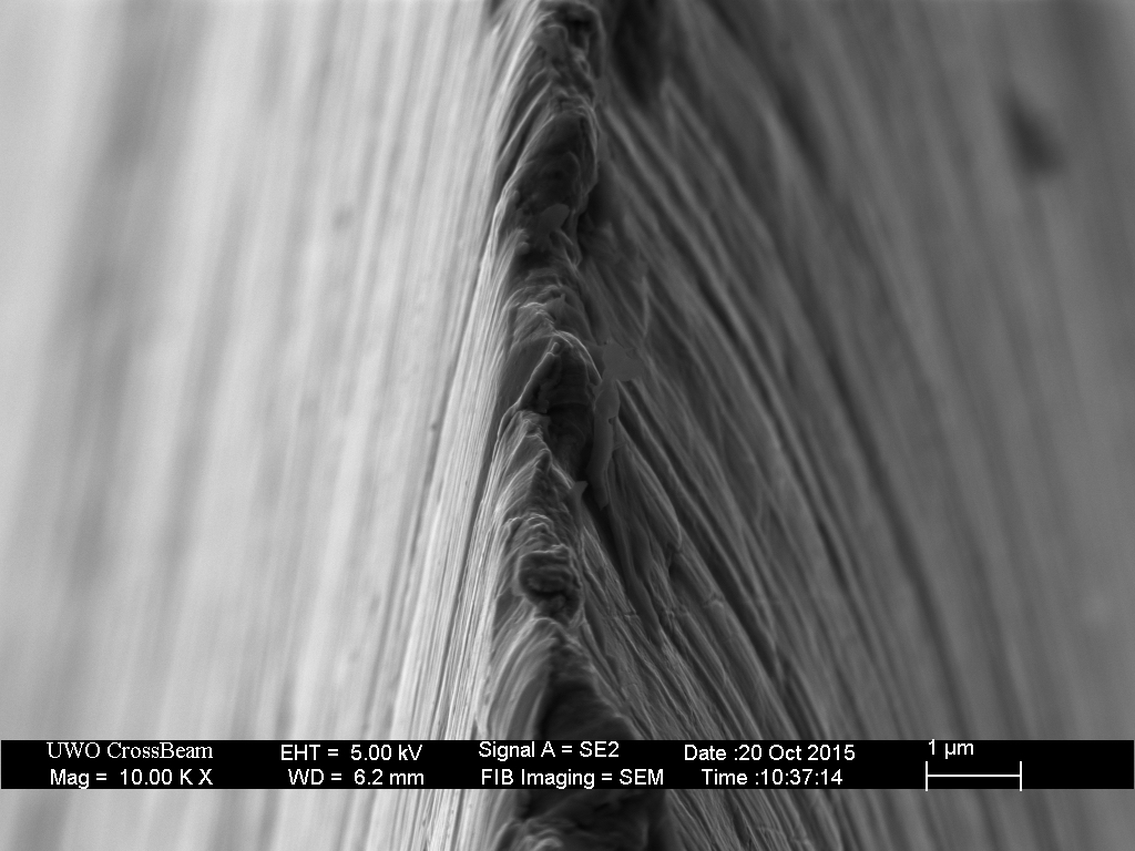 LC_redwood_6kET_newspr_cro_01