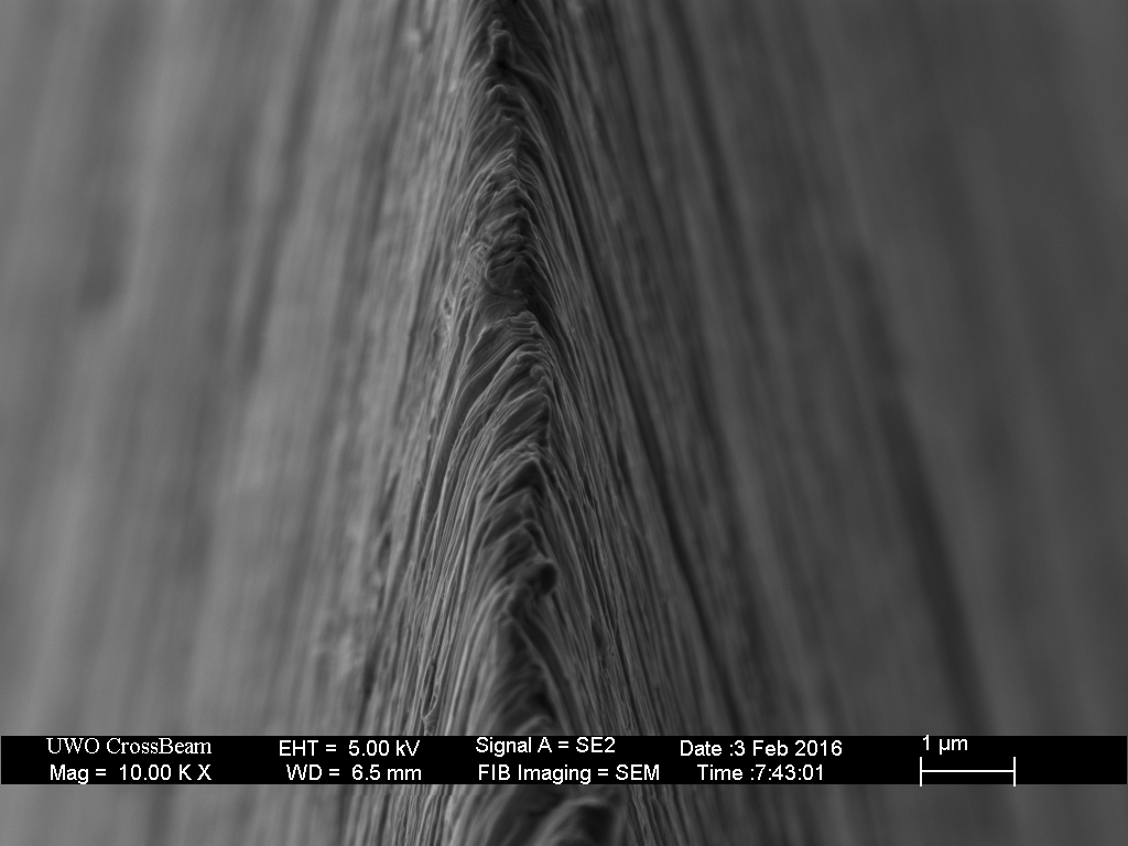 GEN_16k_15umPD_den_01