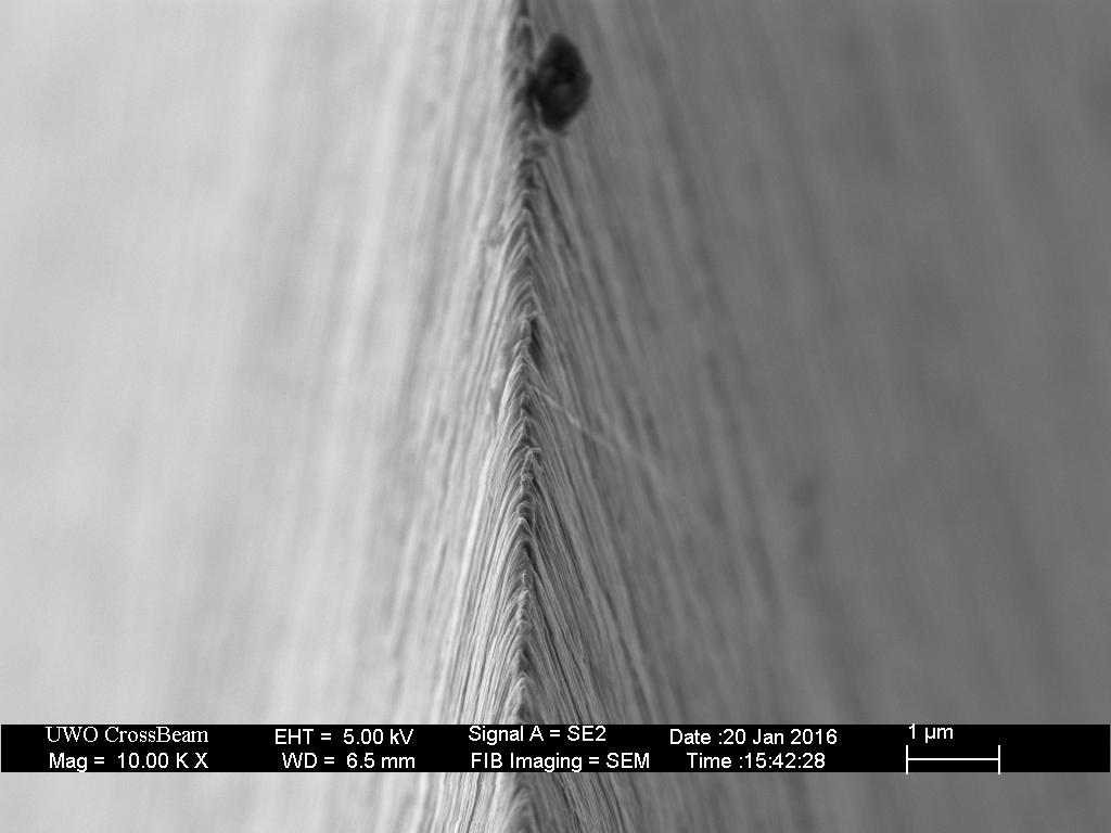 Gen_SH16k_1p0PD_den_01