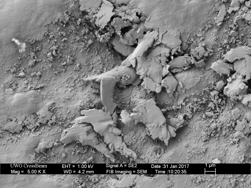 ceramic_hone_scalpel_swarf_03