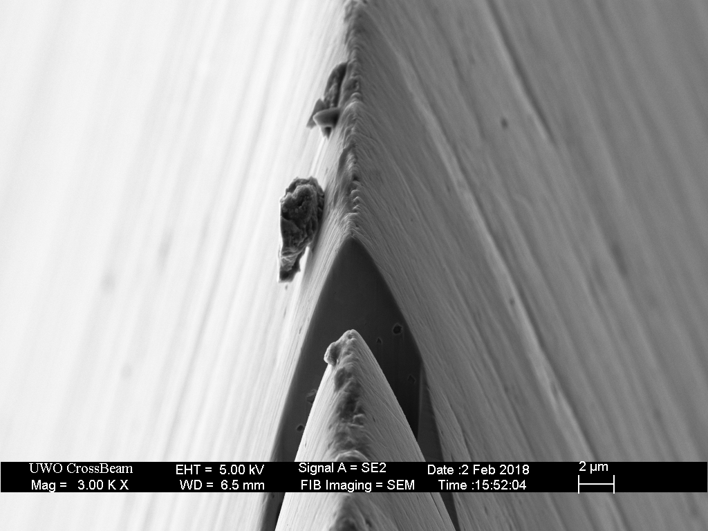 Gibson_sh2k_MMdenim_02